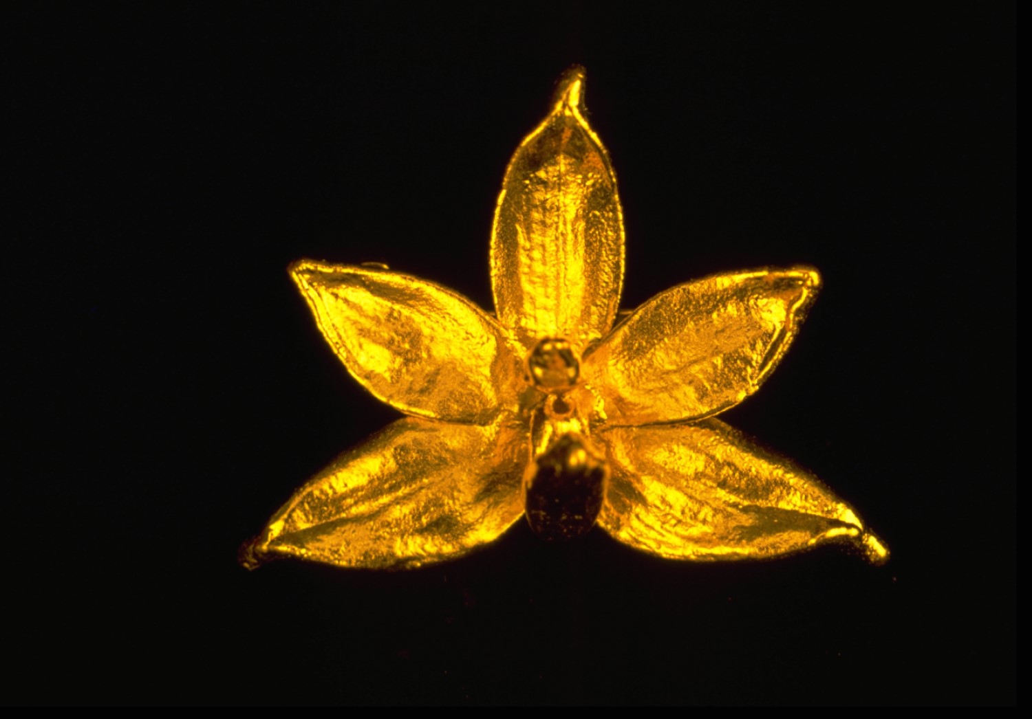 gold-plated RISIS orchids